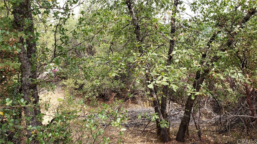 0 Robinson Mill Road Oroville, CA 95966 - Photo 11 of 15 Gallery Image 11