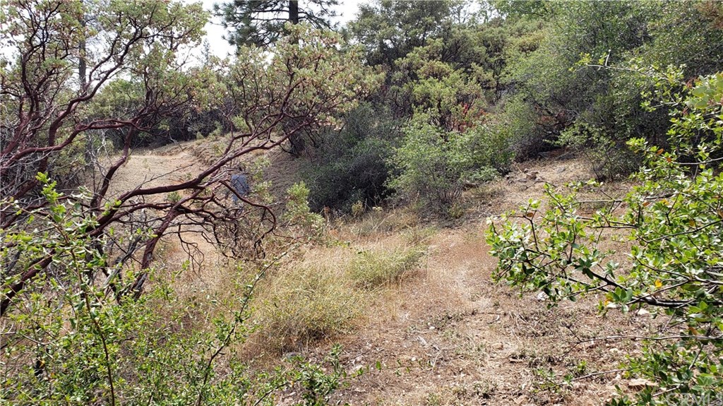 0 Robinson Mill Road Oroville, CA 95966 - Photo 12 of 15 Gallery Image 12