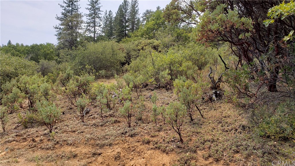0 Robinson Mill Road Oroville, CA 95966 - Photo 13 of 15 Gallery Image 13