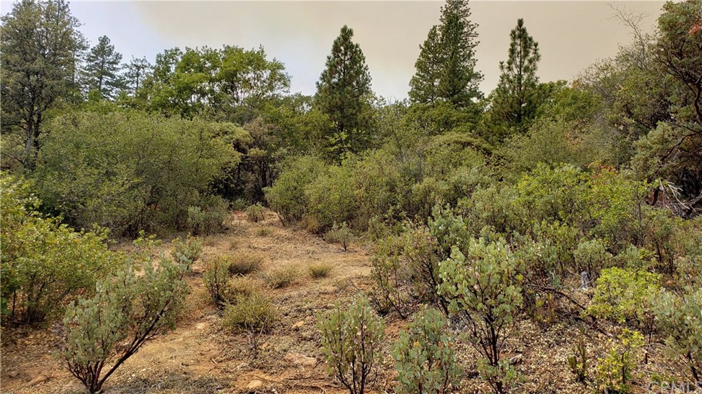 0 Robinson Mill Road Oroville, CA 95966 - Photo 14 of 15 Gallery Image 14