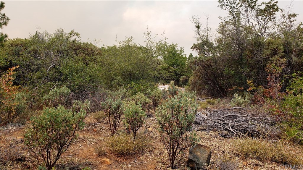 0 Robinson Mill Road Oroville, CA 95966 - Photo 15 of 15 Gallery Image 15