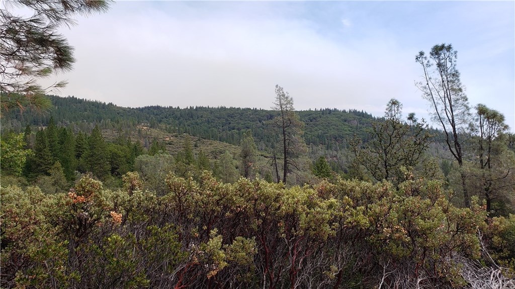 0 Robinson Mill Road Oroville, CA 95966 - Photo 3 of 15 Gallery Image 3