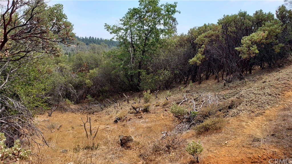 0 Robinson Mill Road Oroville, CA 95966 - Photo 5 of 15 Gallery Image 5