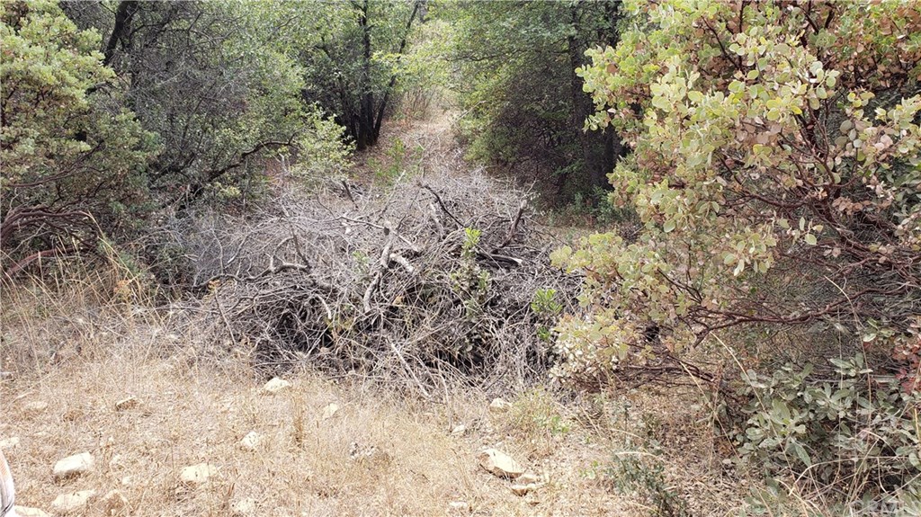 0 Robinson Mill Road Oroville, CA 95966 - Photo 6 of 15 Gallery Image 6