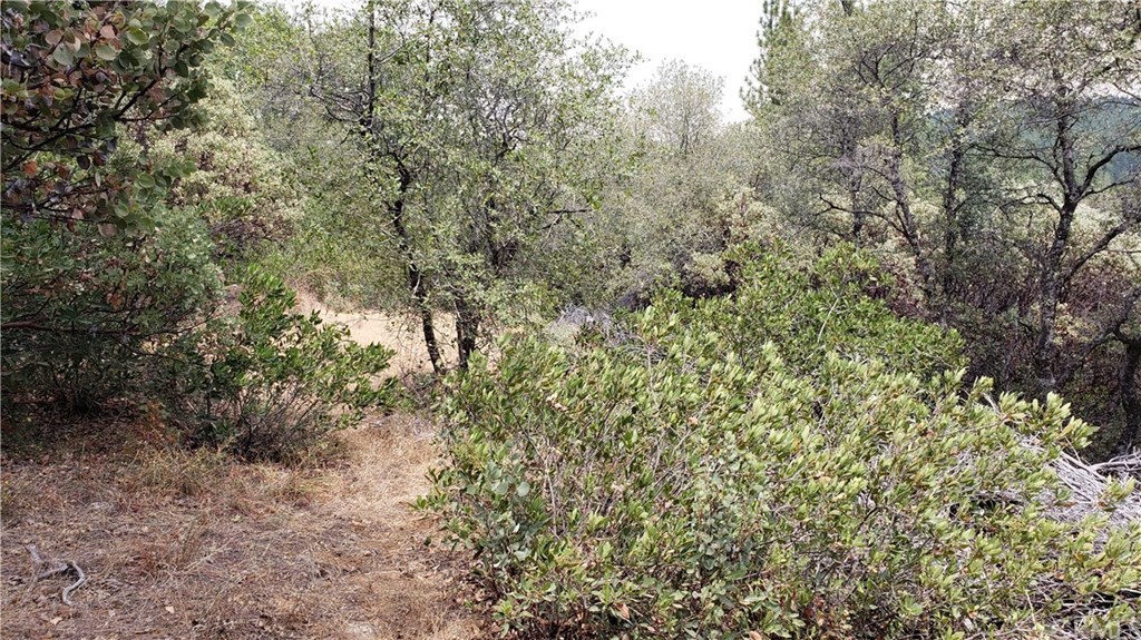 0 Robinson Mill Road Oroville, CA 95966 - Photo 8 of 15 Gallery Image 8