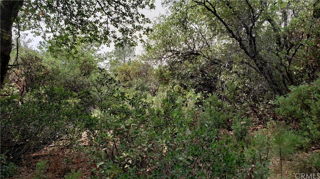 0 Robinson Mill Road Oroville, CA 95966 - Photo 9 of 15 Gallery Image 9
