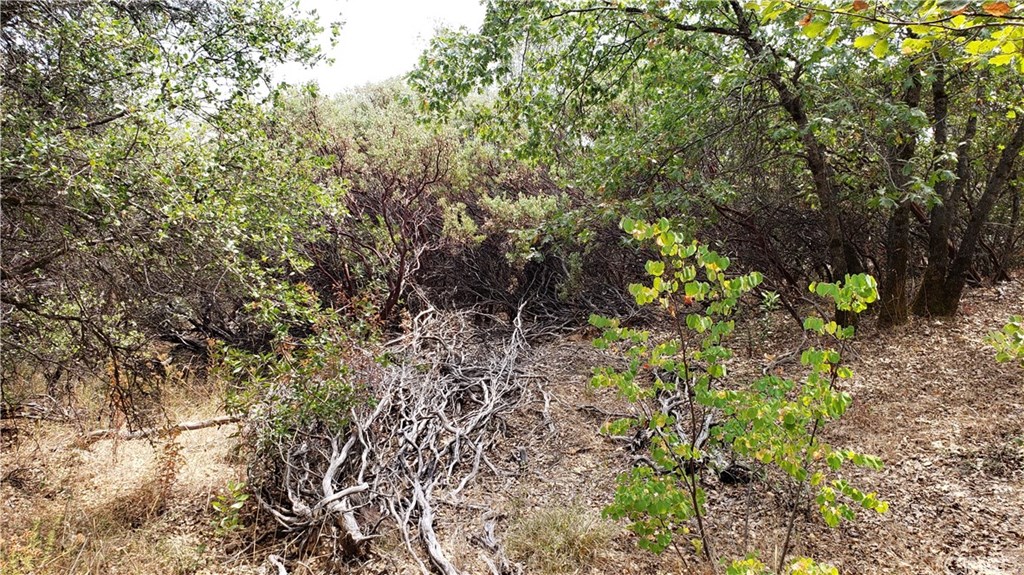 0 Robinson Mill Road Oroville, CA 95966 - Photo 10 of 15 Gallery Image 10