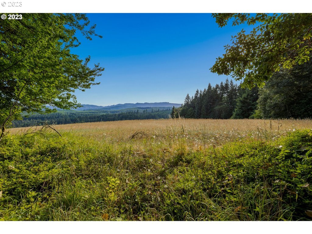 14710 Northwest Orchardale Road Forest Grove, OR 97116 - Photo 44 of 48 Gallery Image 44