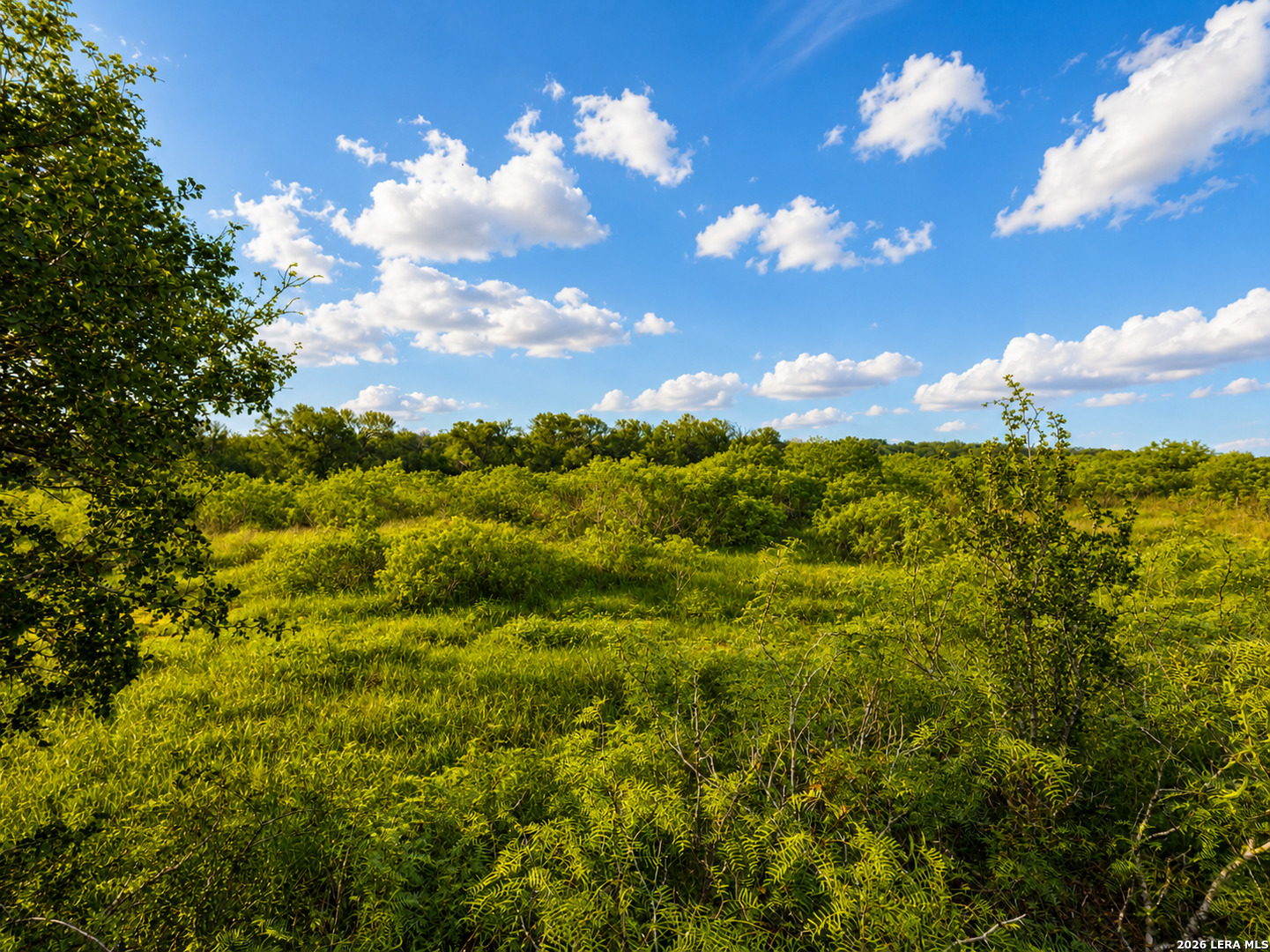 467 County Road 467 Elgin, TX 78621 - Photo 6 of 26