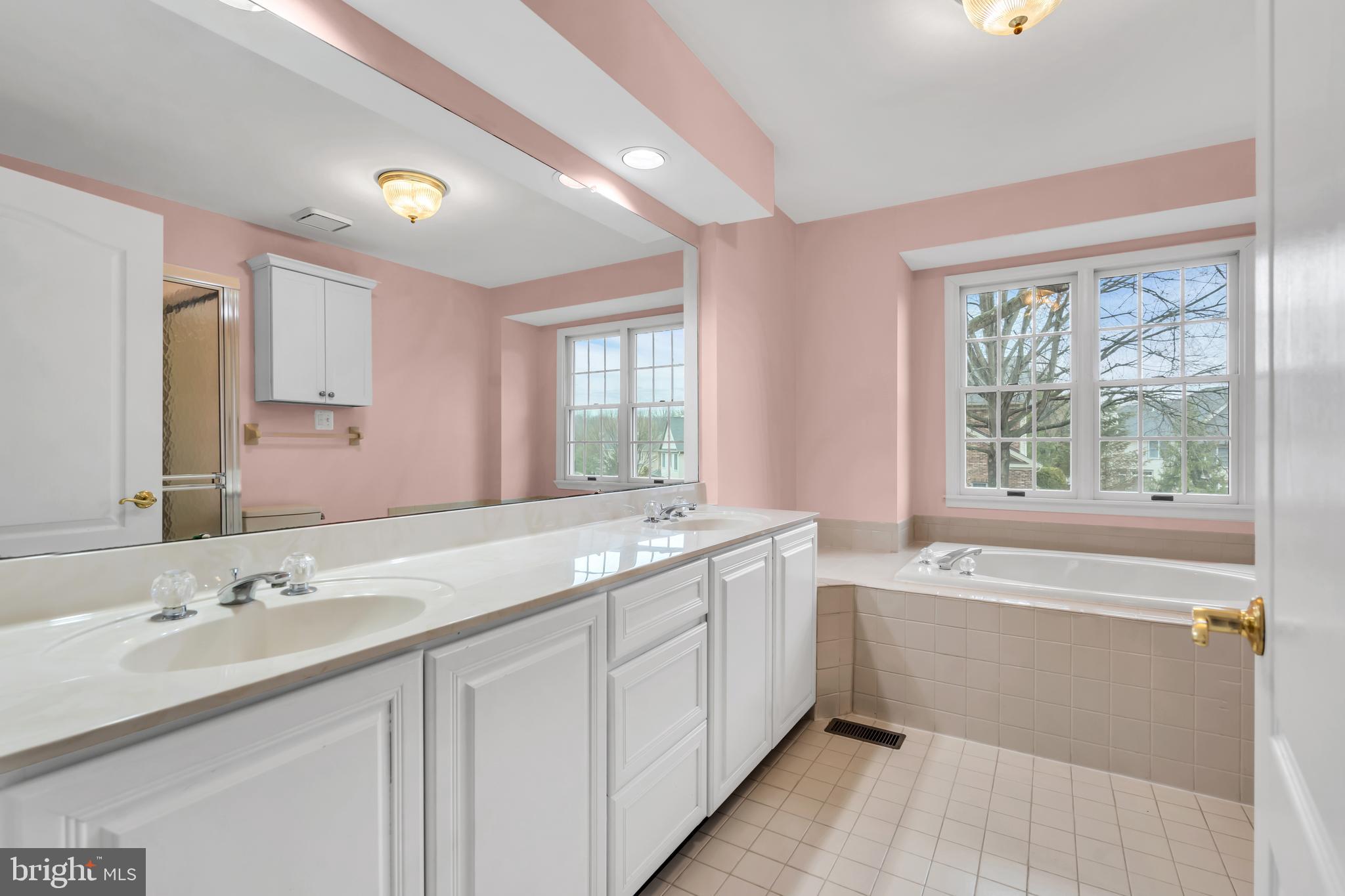 21 Wilkinson Way Princeton, NJ 08540 - Photo 27 of 43 a bathroom with a double vanity sink a large mirror and a bathtub