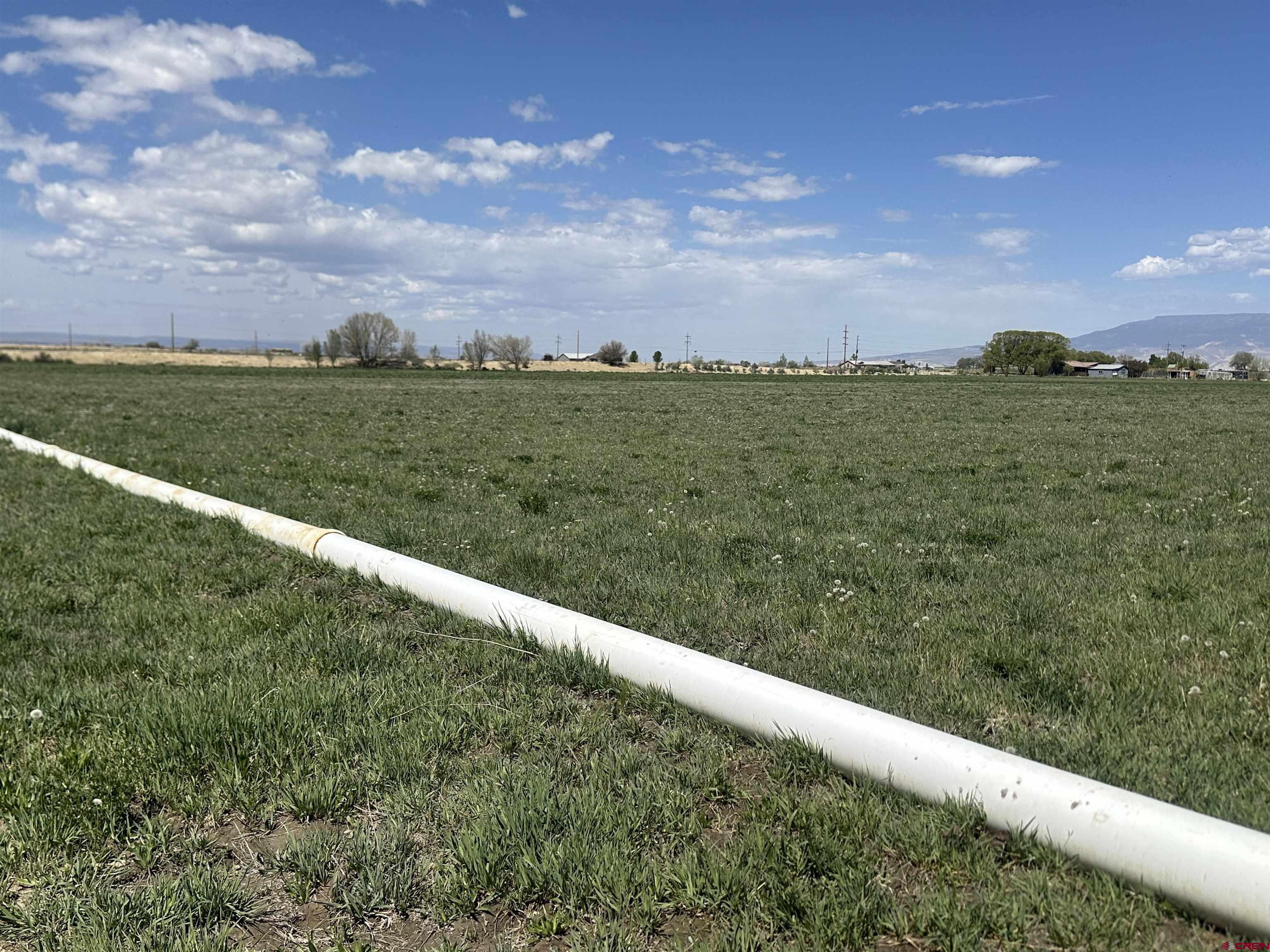 5184 6000th Road Olathe, CO 81425 - Photo 42 of 45