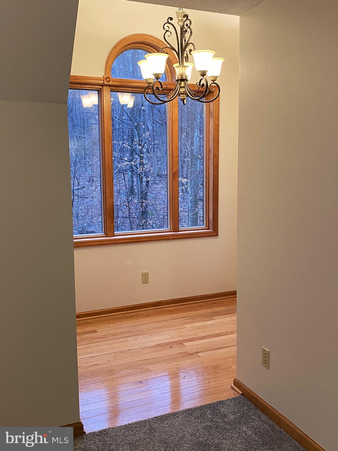 10915 Rachael Avenue Midlothian, MD 21543 - Photo 28 of 52 a view of entryway