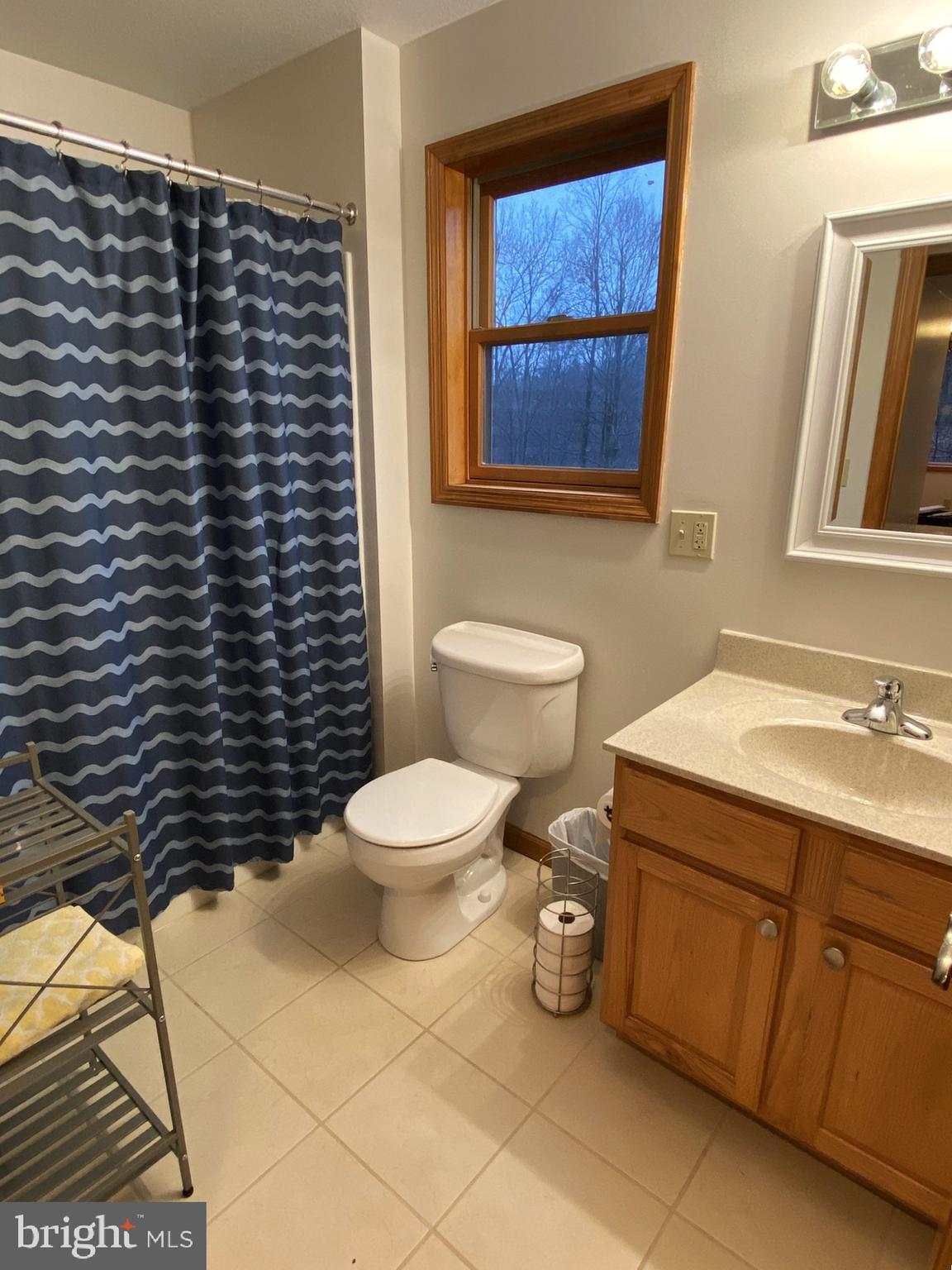 10915 Rachael Avenue Midlothian, MD 21543 - Photo 33 of 52 a bathroom with a toilet a sink and a mirror