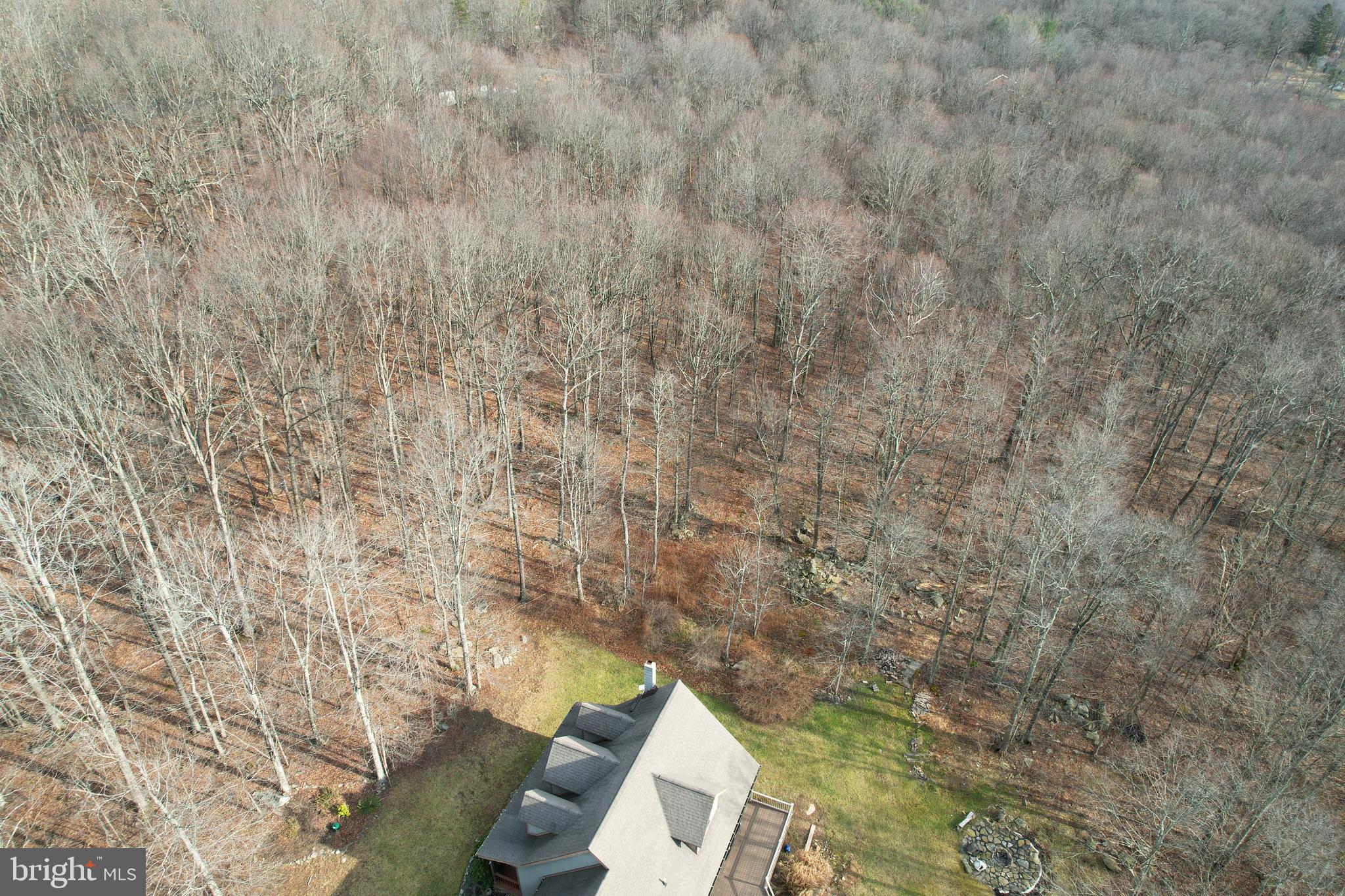 10915 Rachael Avenue Midlothian, MD 21543 - Photo 45 of 52