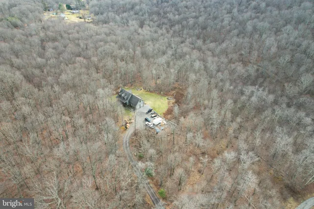 a view of a dry yard