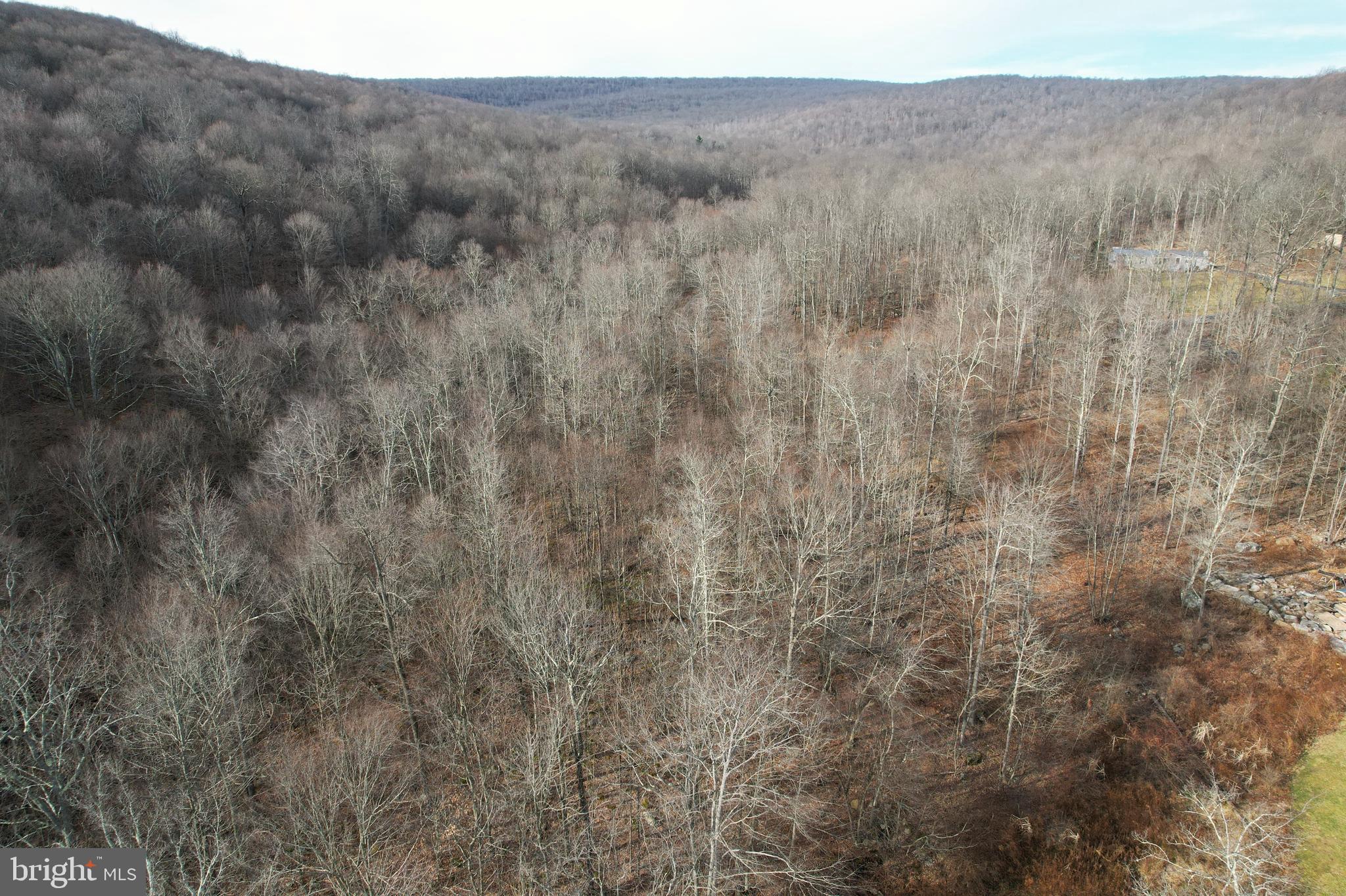 10915 Rachael Avenue Midlothian, MD 21543 - Photo 50 of 52 a view of a dry yard