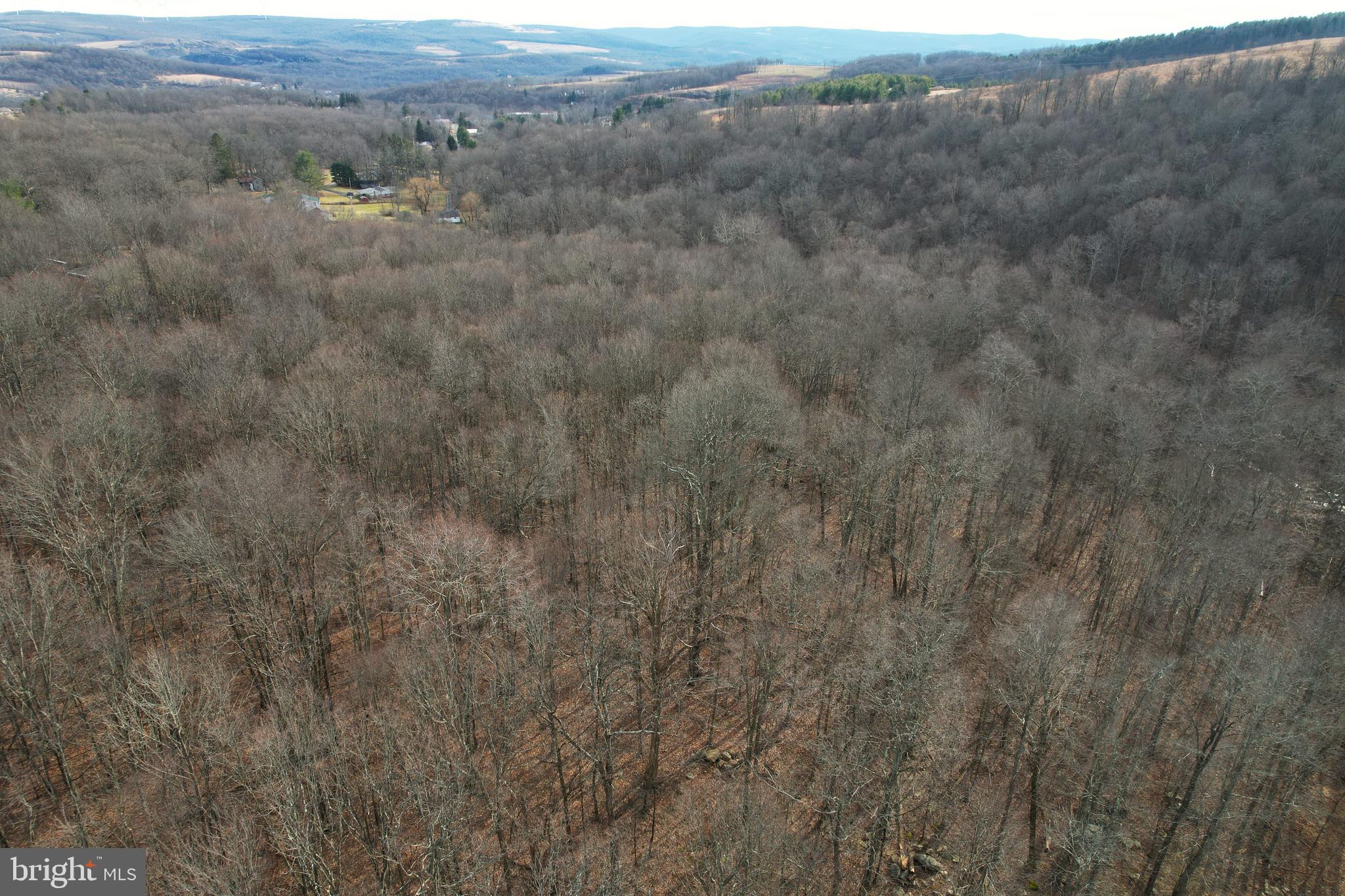 10915 Rachael Avenue Midlothian, MD 21543 - Photo 51 of 52 a view of a field of grass and mountain