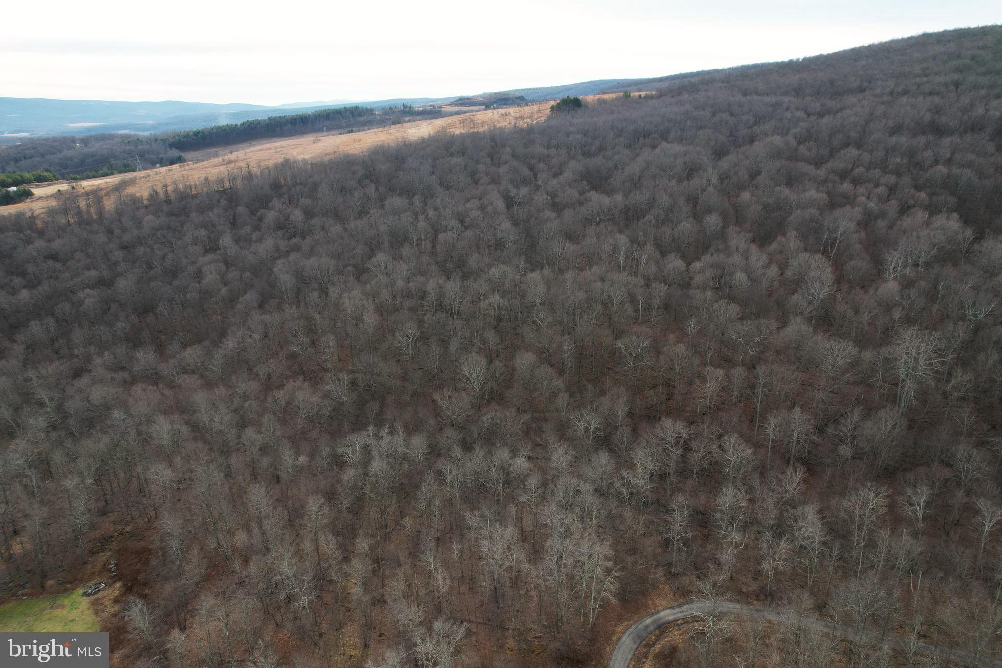 10915 Rachael Avenue Midlothian, MD 21543 - Photo 52 of 52 a view of a dry yard with wooden floor and fence