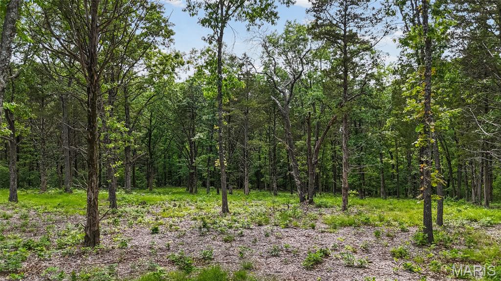 299 Whitetail Ridge Dittmer, MO 63023 - Photo 8 of 19