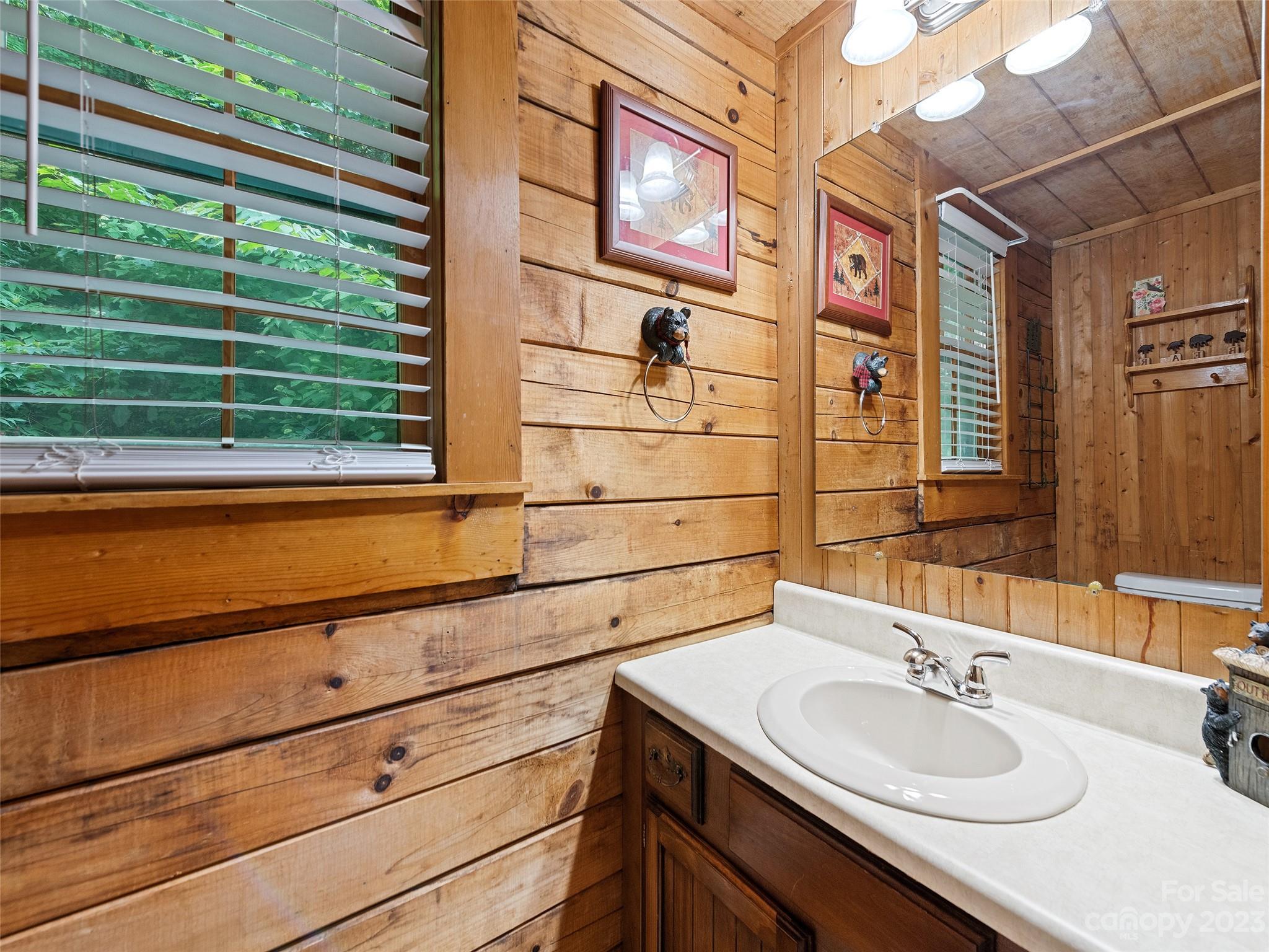 81 Railroad Grade Road Maggie Valley, NC 28751 - Photo 18 of 38 a bathroom with a sink and a large mirror