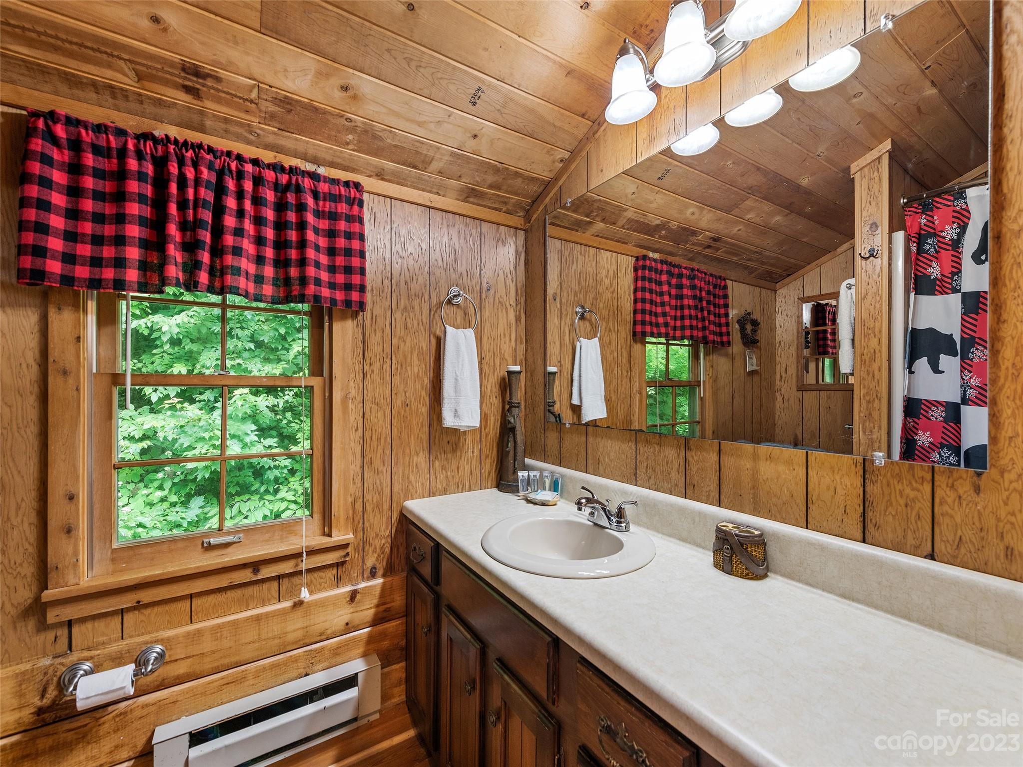 81 Railroad Grade Road Maggie Valley, NC 28751 - Photo 23 of 38 a bathroom with a sink and a large mirror