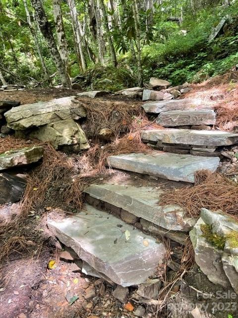 81 Railroad Grade Road Maggie Valley, NC 28751 - Photo 29 of 38 a view of a wooden floor with some trees