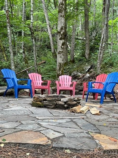 81 Railroad Grade Road Maggie Valley, NC 28751 - Photo 34 of 38