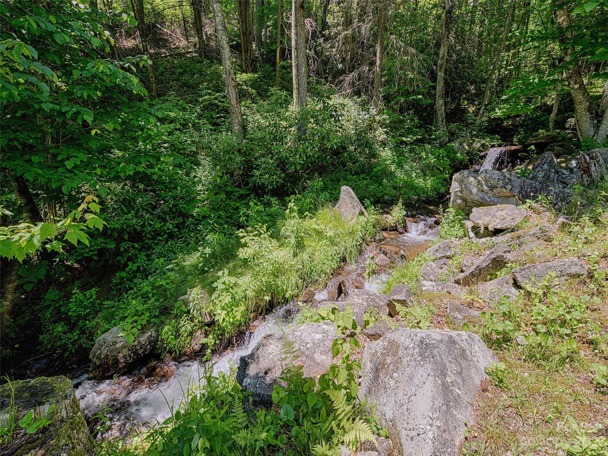 81 Railroad Grade Road Maggie Valley, NC 28751 - Photo 4 of 38 a view of a garden with plants