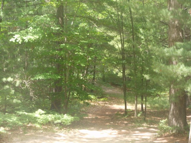 8885 Alger Road Alger, MI 48610 - Photo 8 of 19 1820330-7.JPG