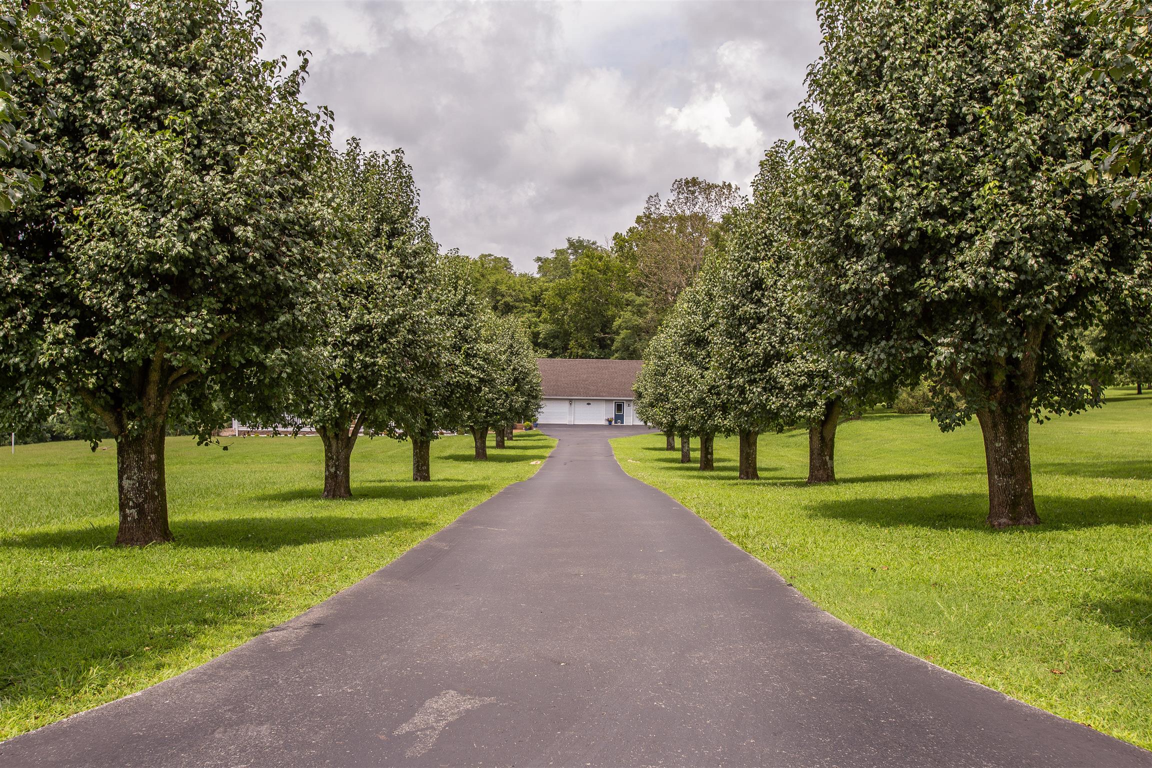 1157 Roseland Road Columbia, TN 38401 - Photo 3 of 30 a view of road with grass and a yard