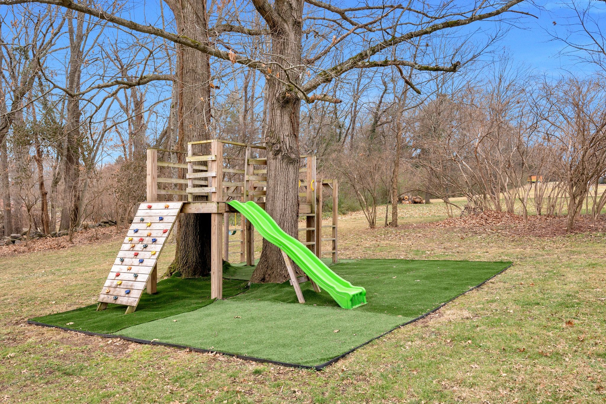 711 Davidson Road Nashville, TN 37205 - Photo 12 of 22 a view of a yard with a slide