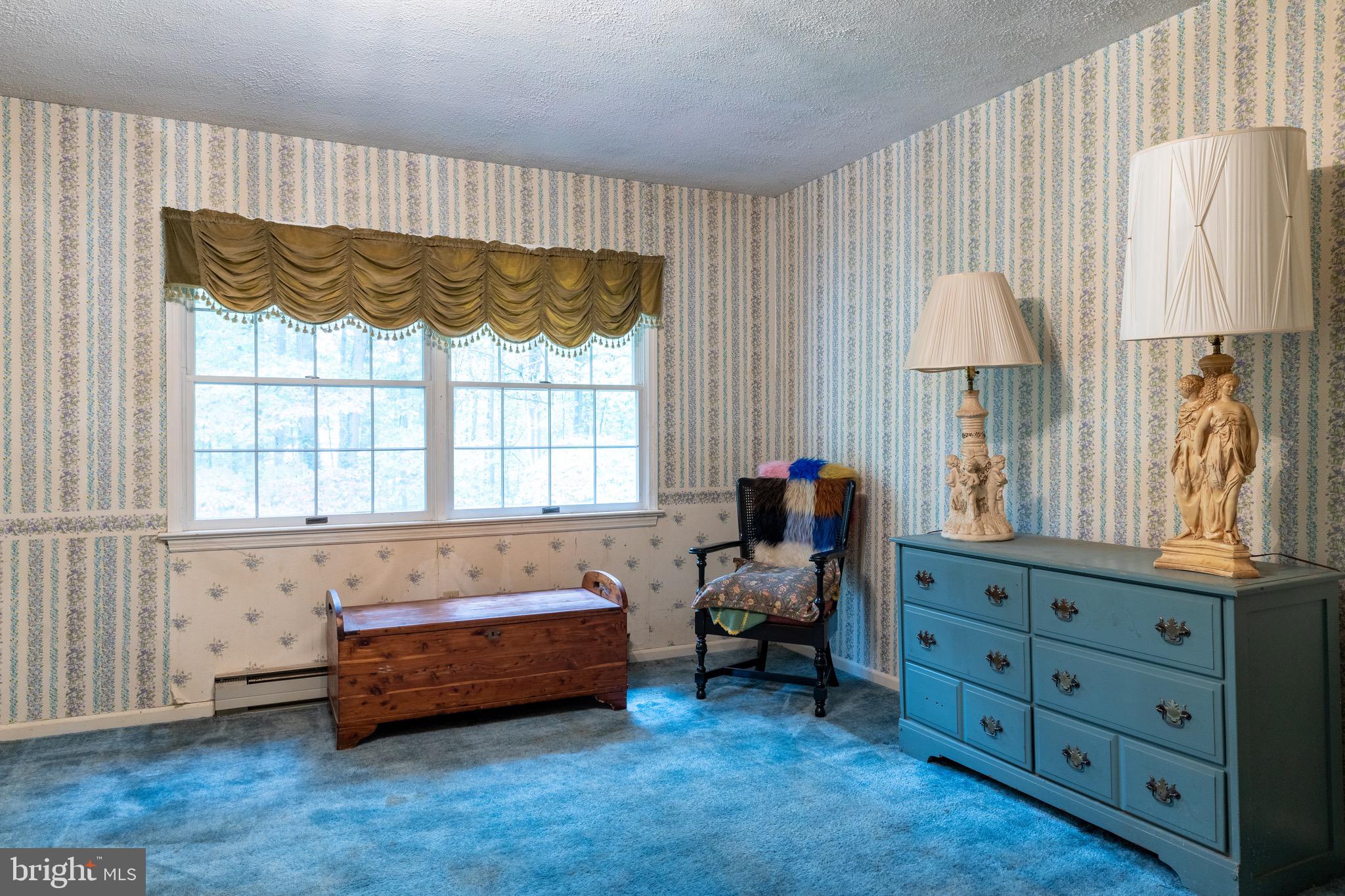 10448 Alum Springs Road Culpeper, VA 22701 - Photo 60 of 63 Gallery Image 60