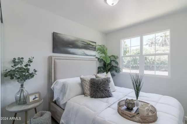 a living room with furniture potted plant and a window