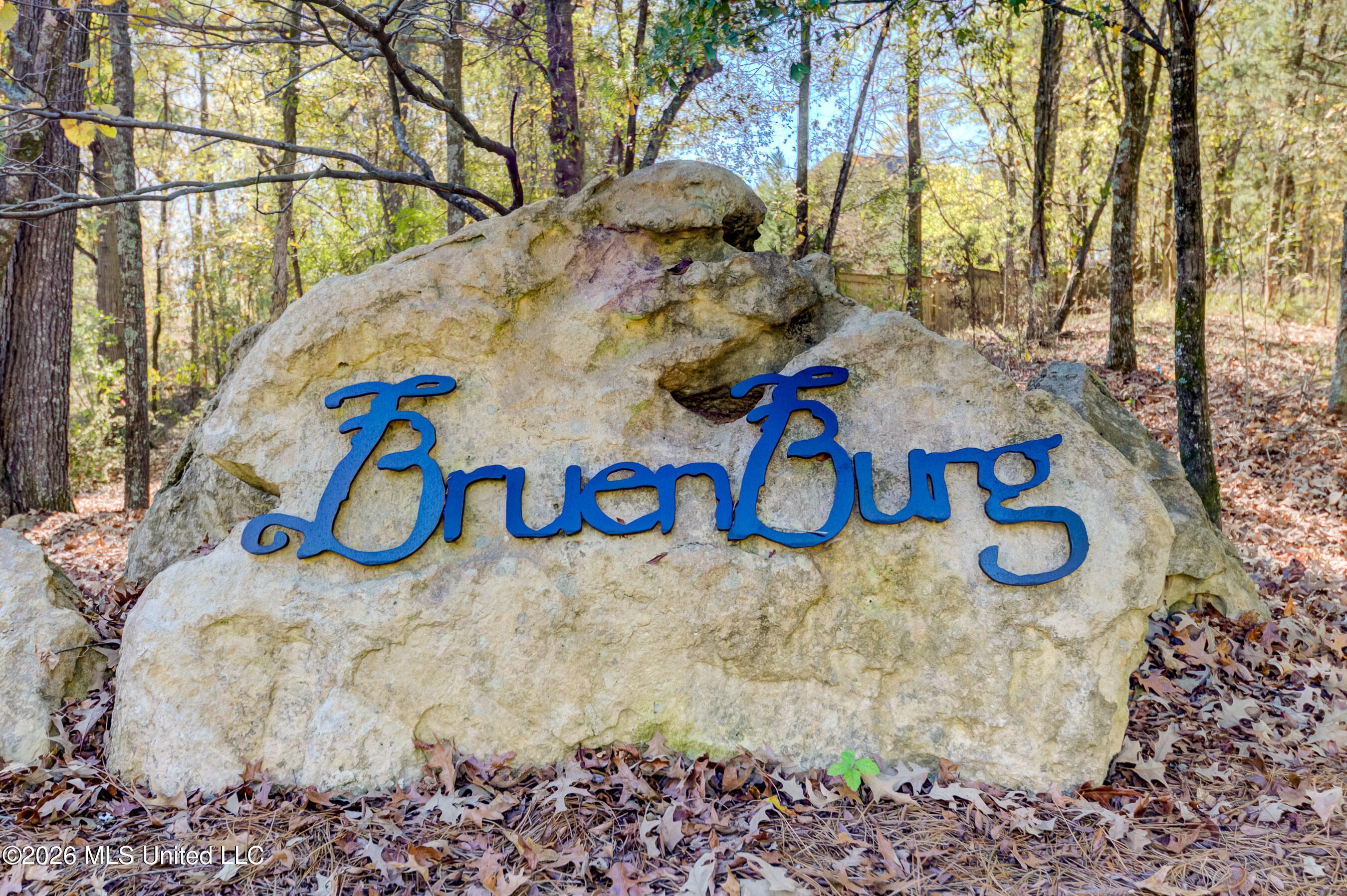 137 Baileys Ridge Circle Clinton, MS 39056 - Photo 67 of 67 66 Bruenburg Neighborhood Sign