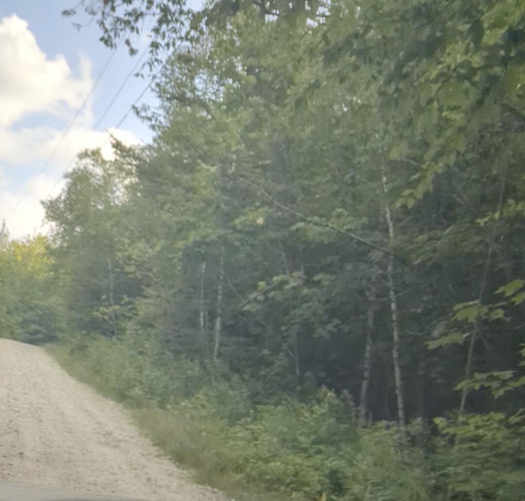 174 Saunders Road Bryant Pond, ME 04219 - Photo 2 of 6 Saunders Road 7