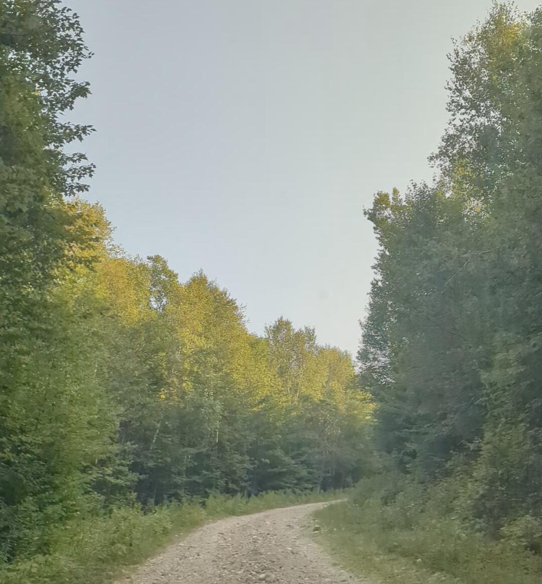 174 Saunders Road Bryant Pond, ME 04219 - Photo 3 of 6 Saunders Road3