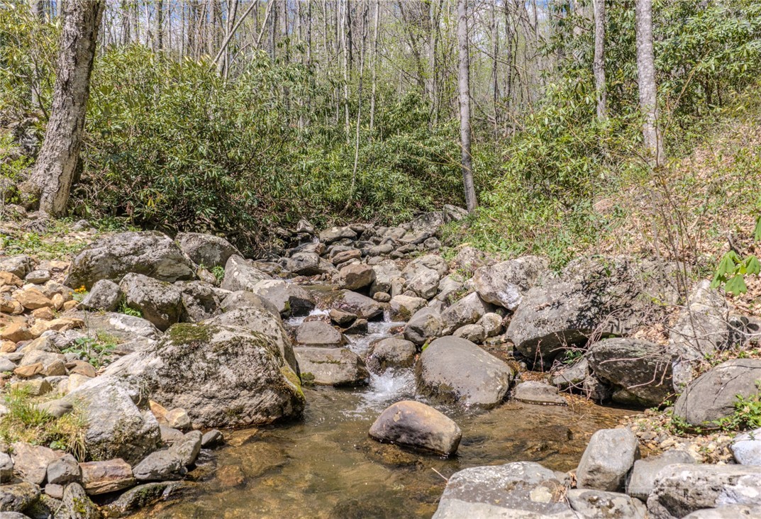 426 Cook Town Road Bakersville, NC 28705 - Photo 48 of 50