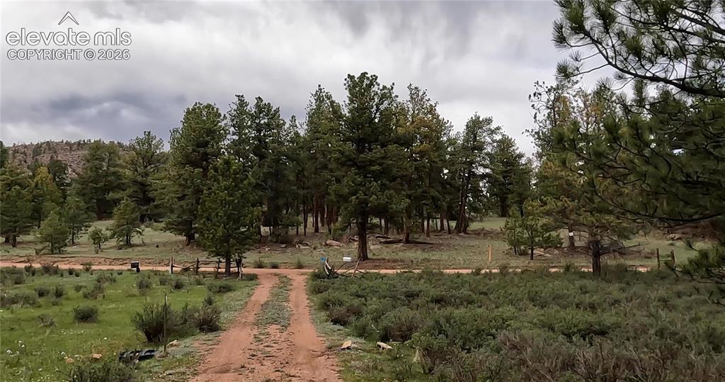 3800 Doe Valley Road Guffey, CO 80820 - Photo 22 of 42