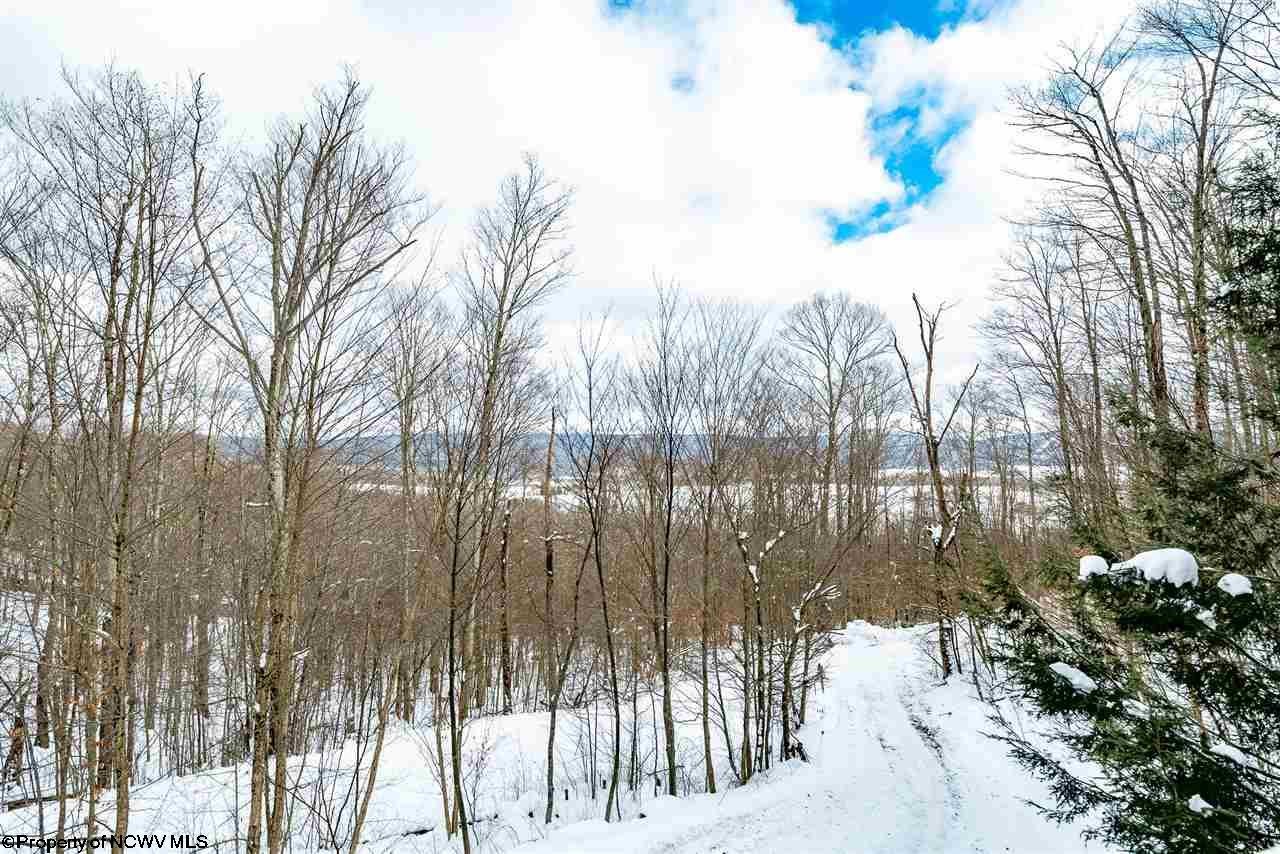 441 Northpoint Way Davis, WV 26260 - Photo 24 of 30 Gallery Image 24