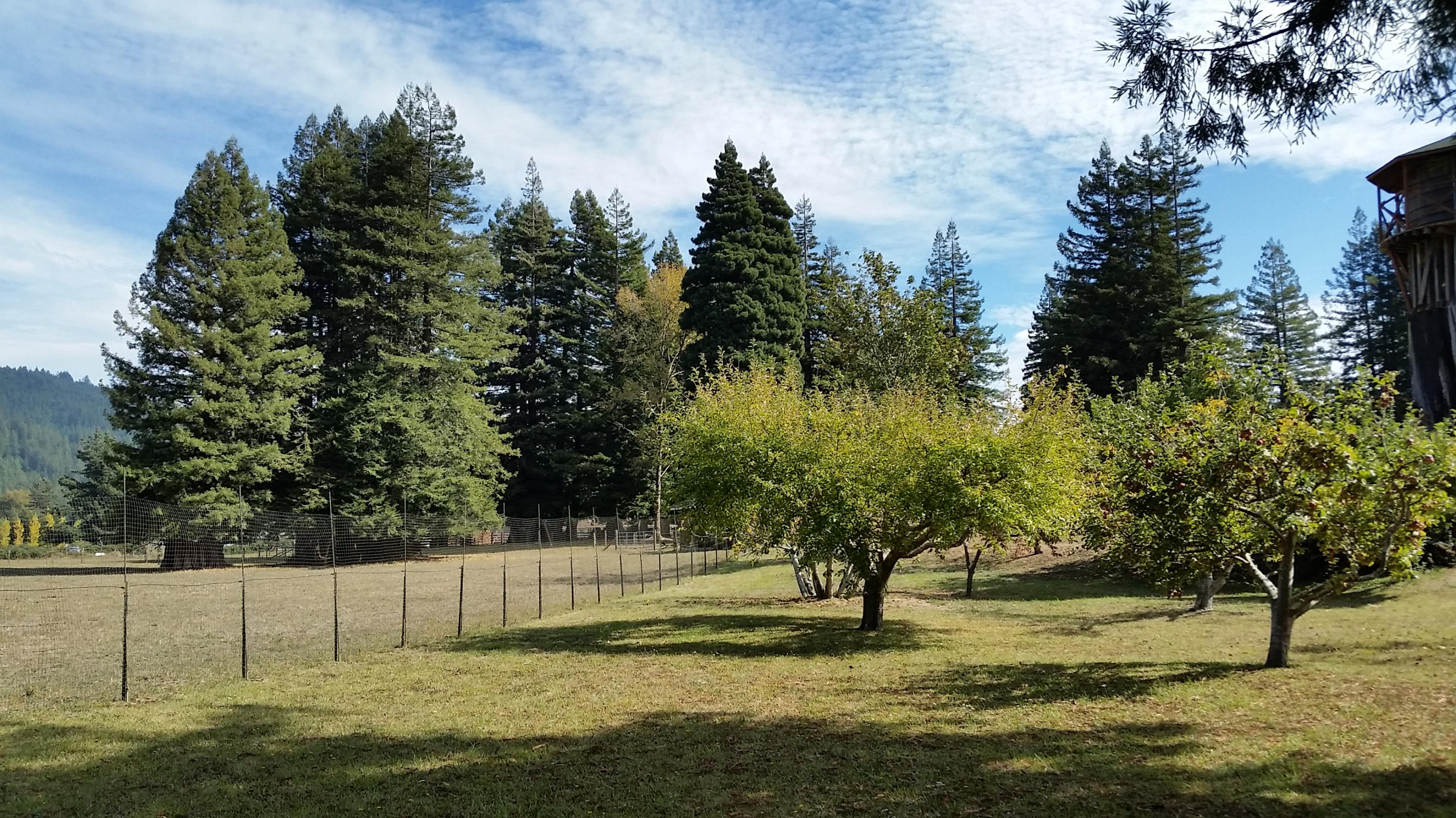 719 North Road Scotia, CA 95565 - Photo 15 of 51