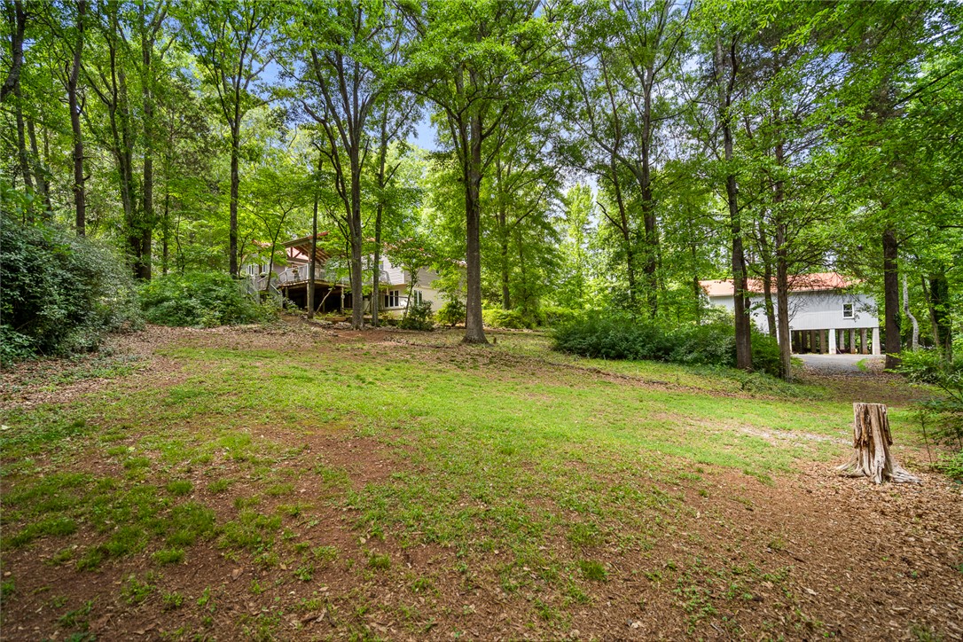 324 Hobson Road Anderson, SC 29621 - Photo 39 of 46 This verdant, expansive yard offers a private, serene setting amidst lush trees.