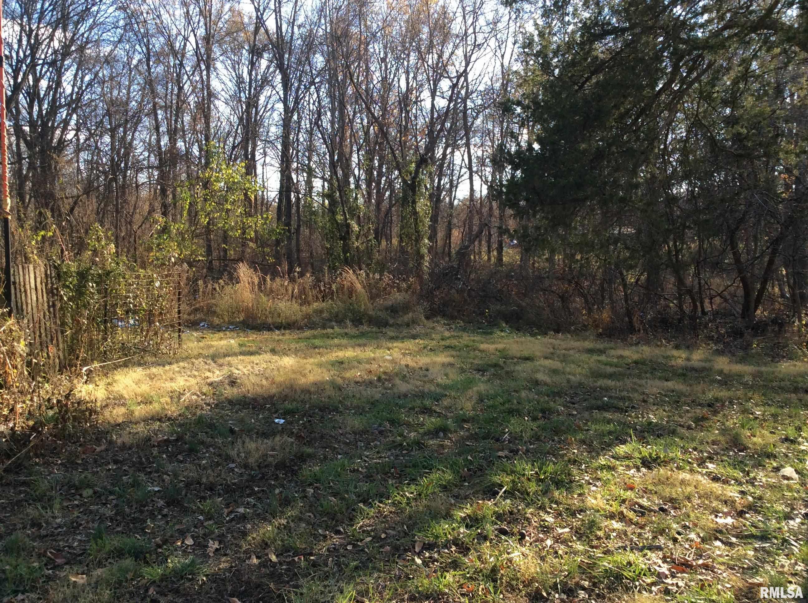 15839 East Canton Road Texico, IL 62889 - Photo 15 of 29
