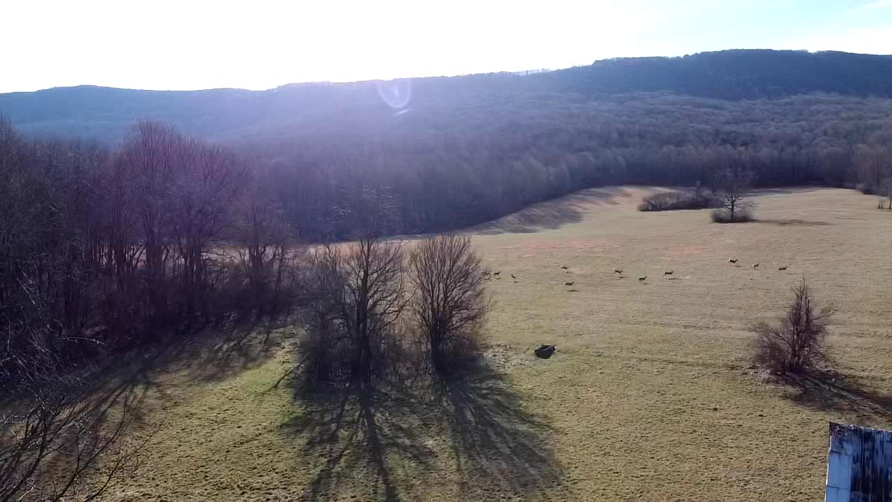 5851 Zenith Road Waiteville, WV 24984 - Photo 58 of 75 Gallery Image 58