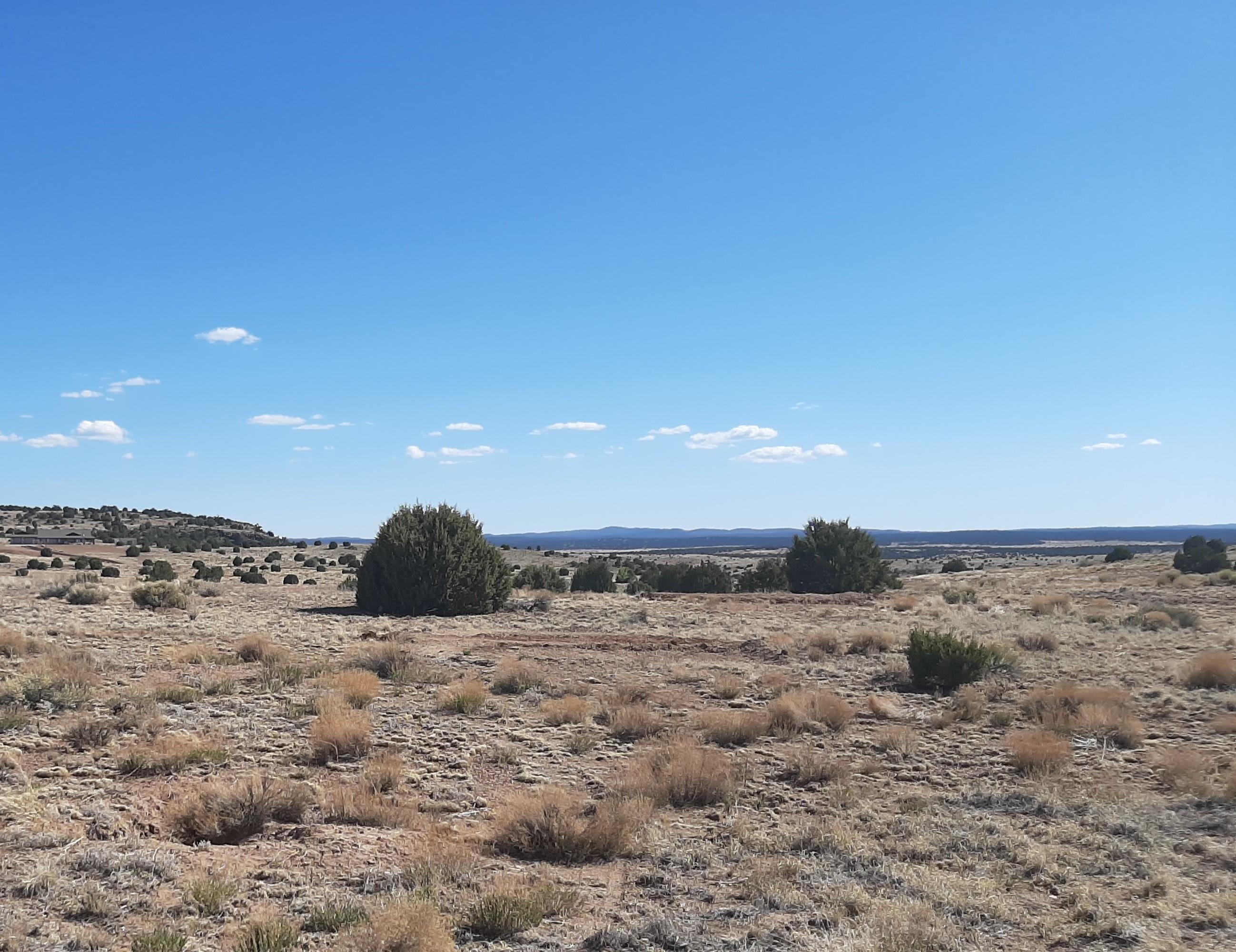 1150 Meadow Way Taylor, AZ 85939 - Photo 2 of 7