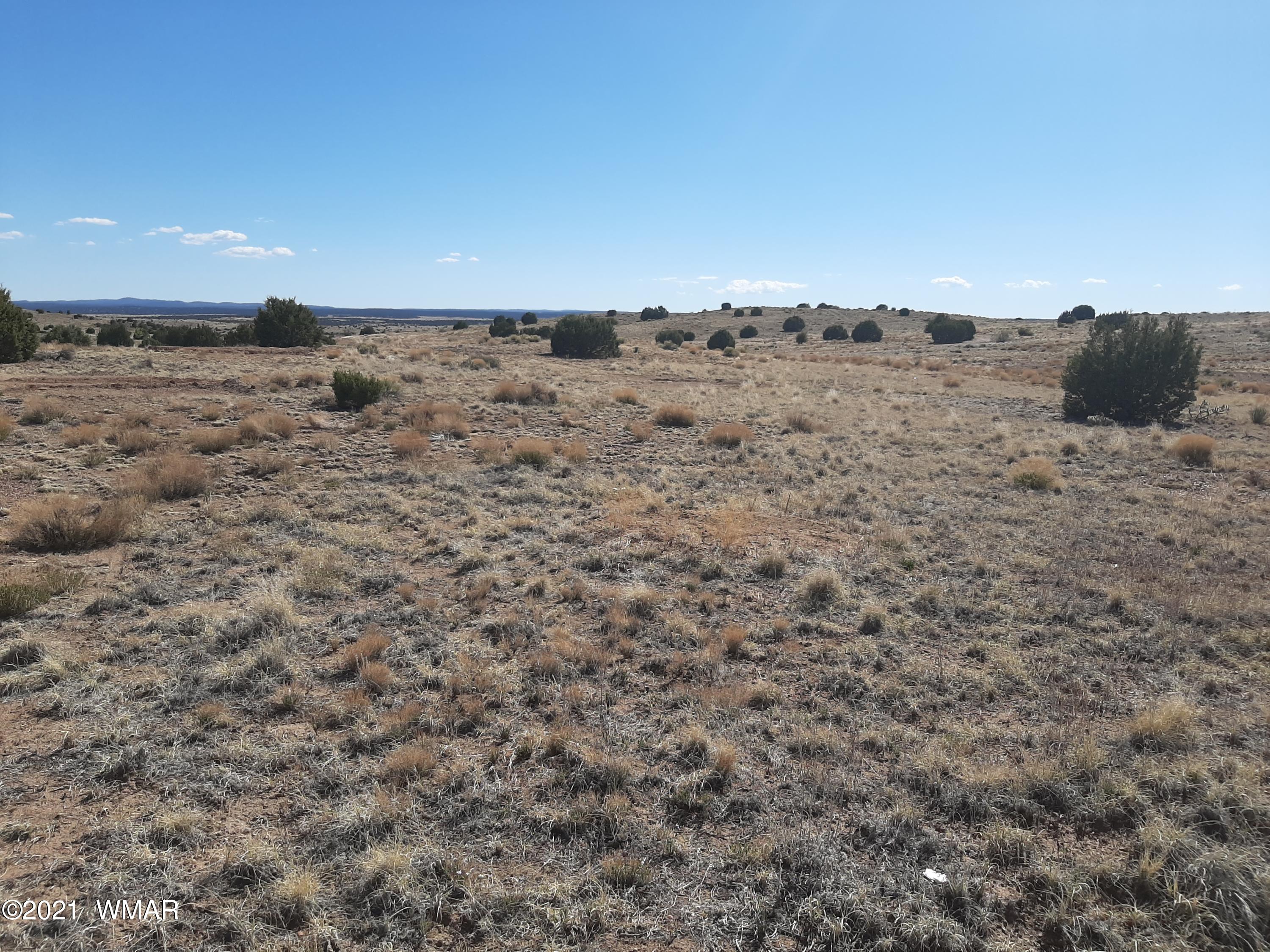 1150 Meadow Way Taylor, AZ 85939 - Photo 3 of 7