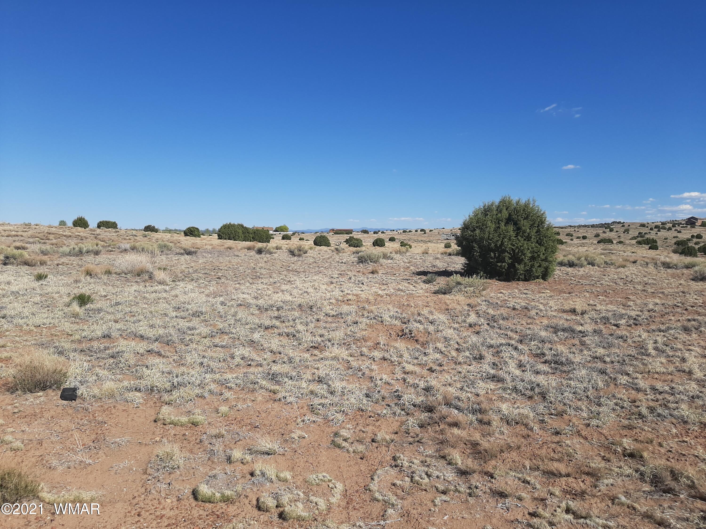 1150 Meadow Way Taylor, AZ 85939 - Photo 6 of 7