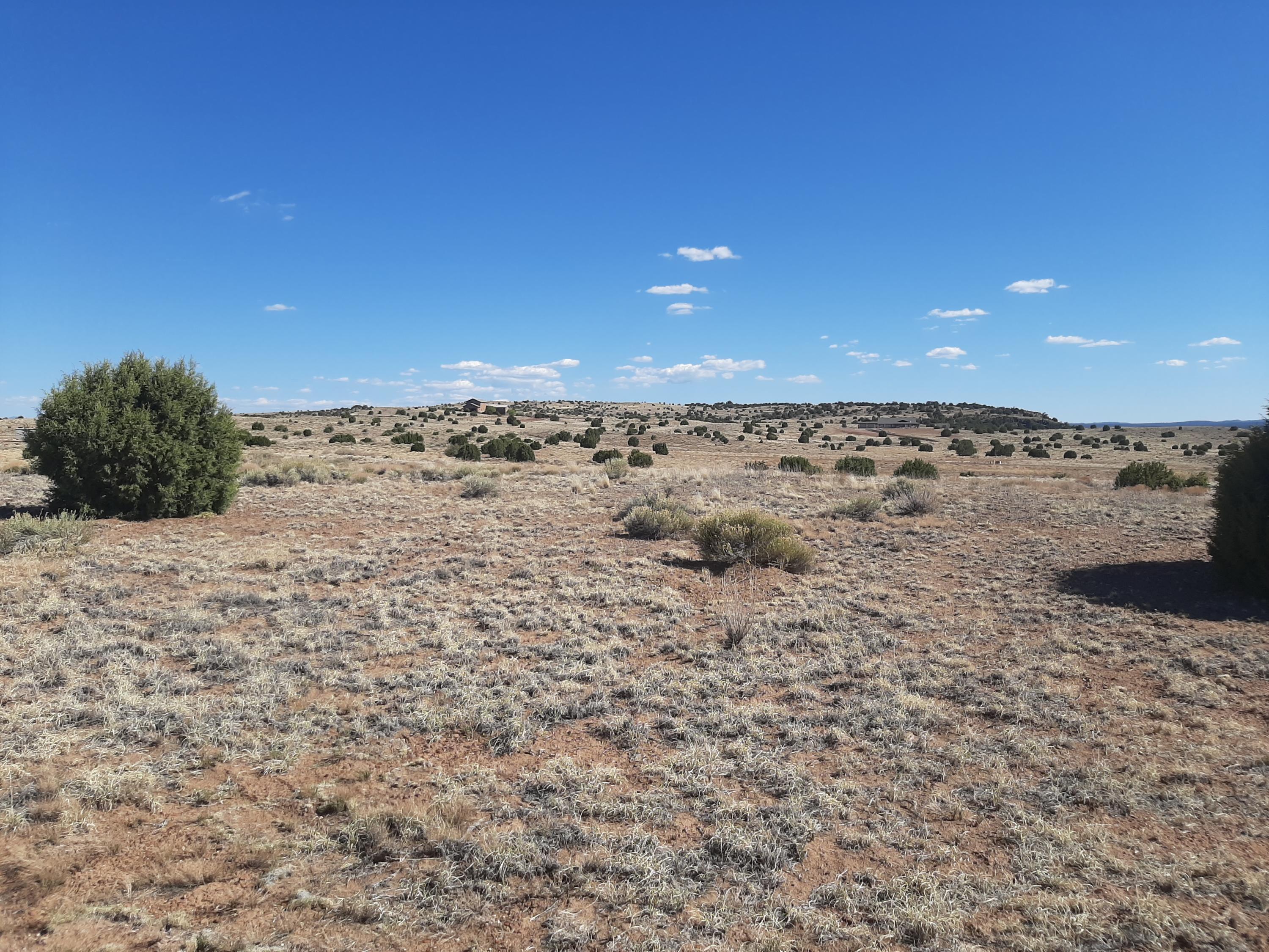 1150 Meadow Way Taylor, AZ 85939 - Photo 7 of 7