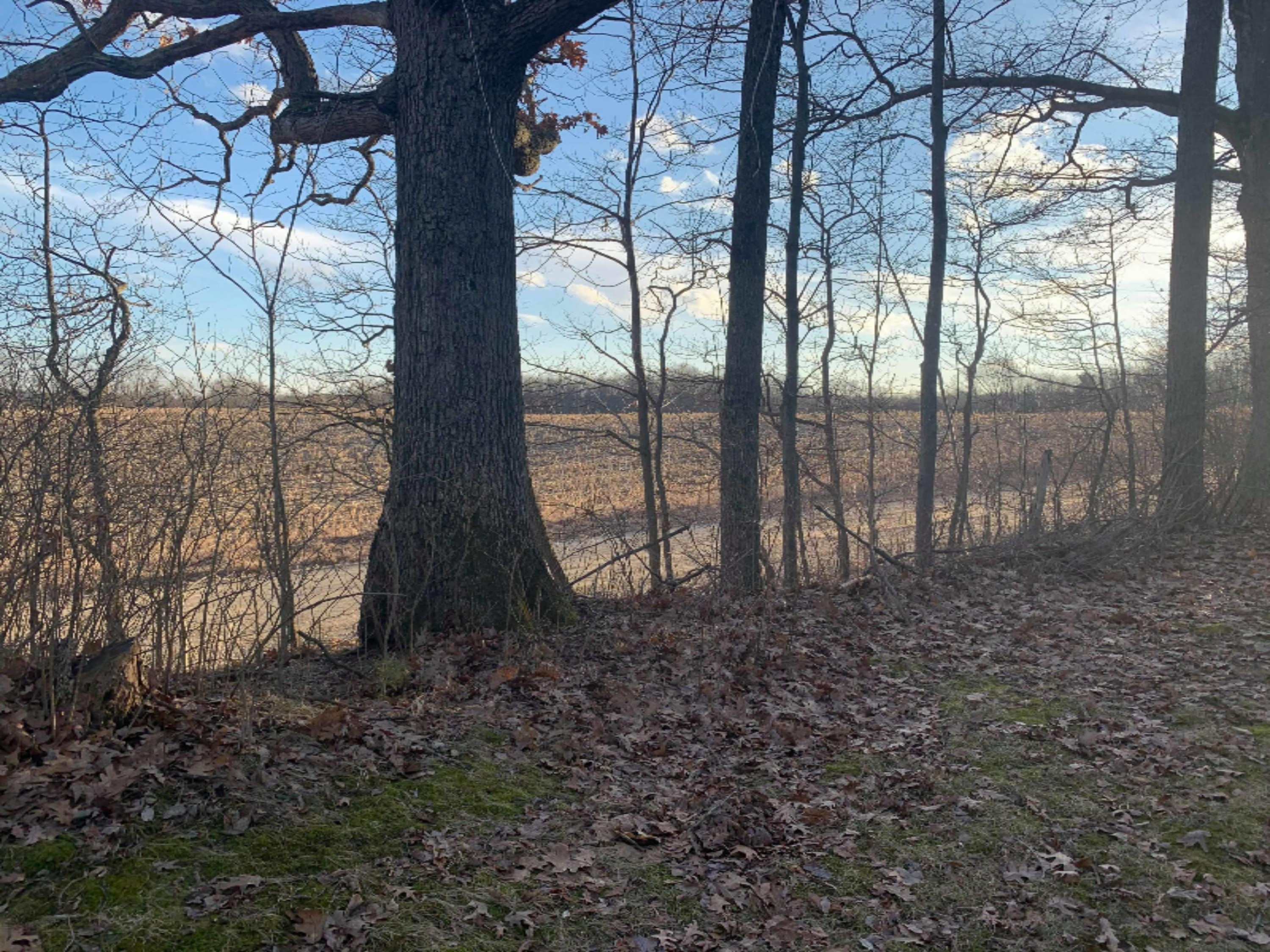 19030 Monroe Road Morley, MI 49336 - Photo 22 of 47 90084621_653640815450287_773232939507908
