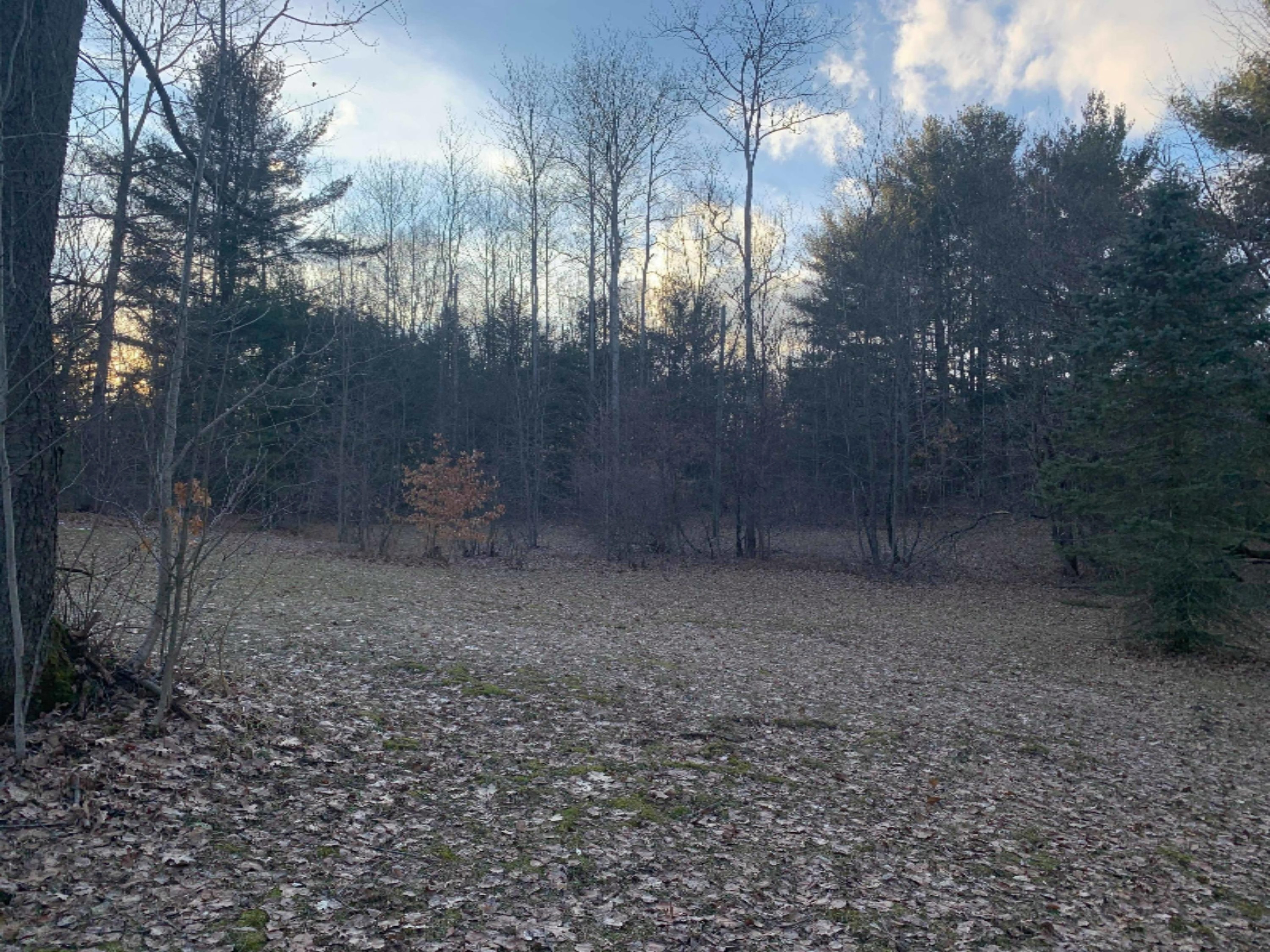19030 Monroe Road Morley, MI 49336 - Photo 23 of 47 89978626_317645089194629_881689256098004