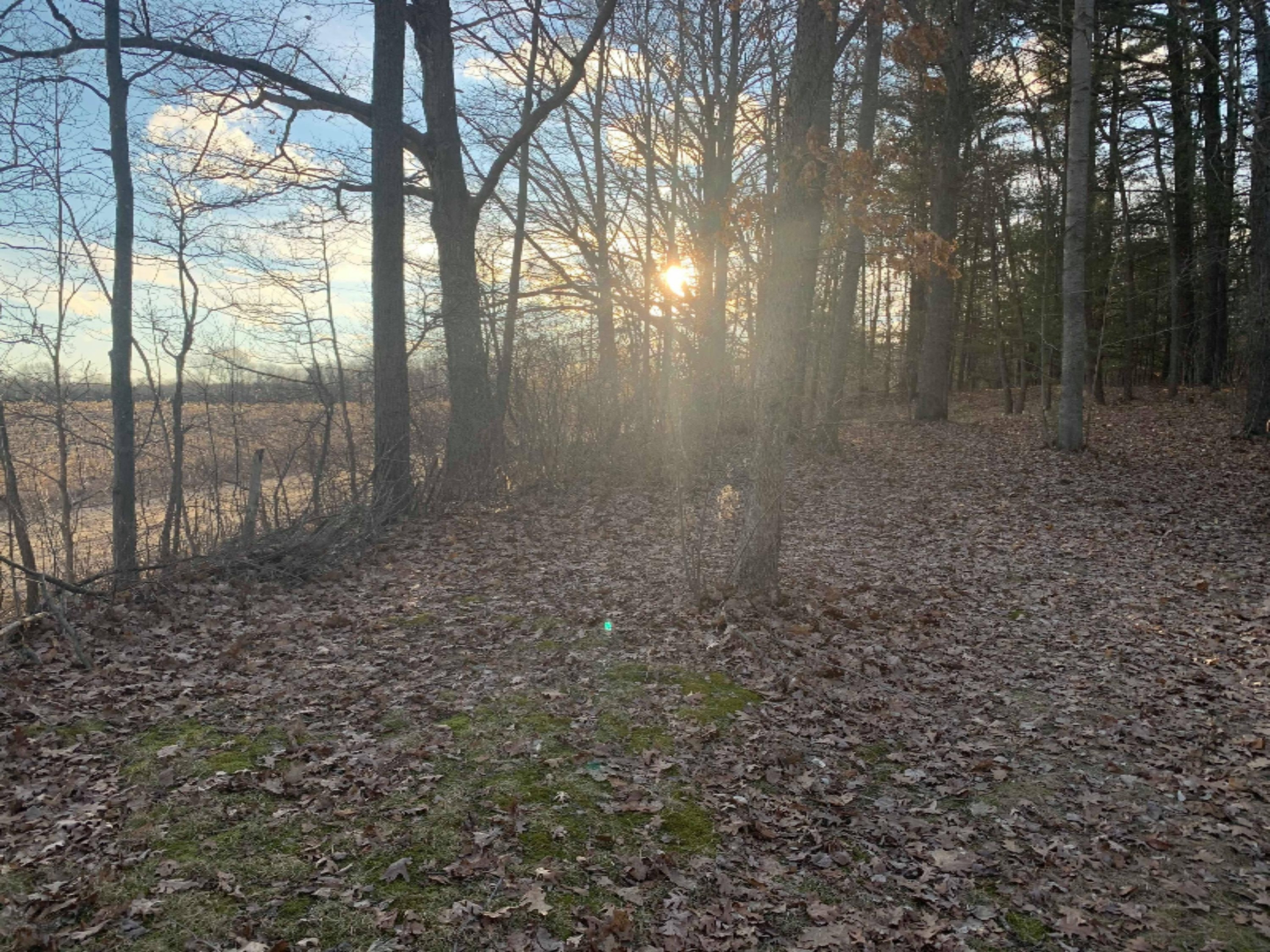 19030 Monroe Road Morley, MI 49336 - Photo 24 of 47 90129767_2888113381282007_45783745784971